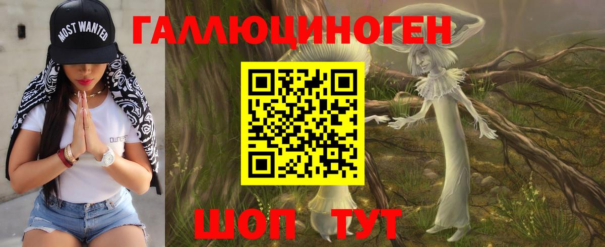 Галлюциногенные грибы Psilocybe Лиски