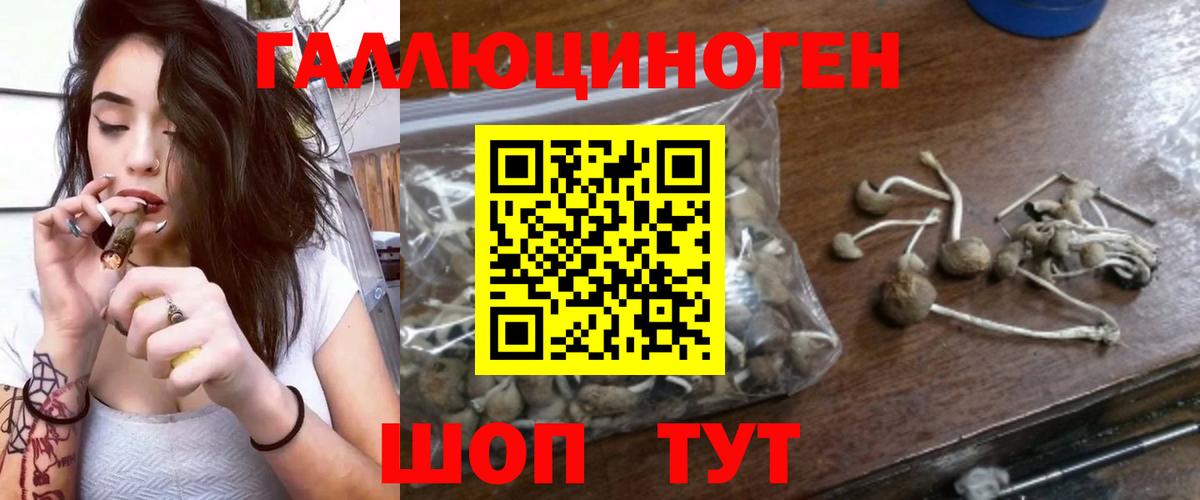 Псилоцибиновые грибы мицелий  Вход с VPN  Лиски  Галлюциногенные грибы MAGIC MUSHROOMS 